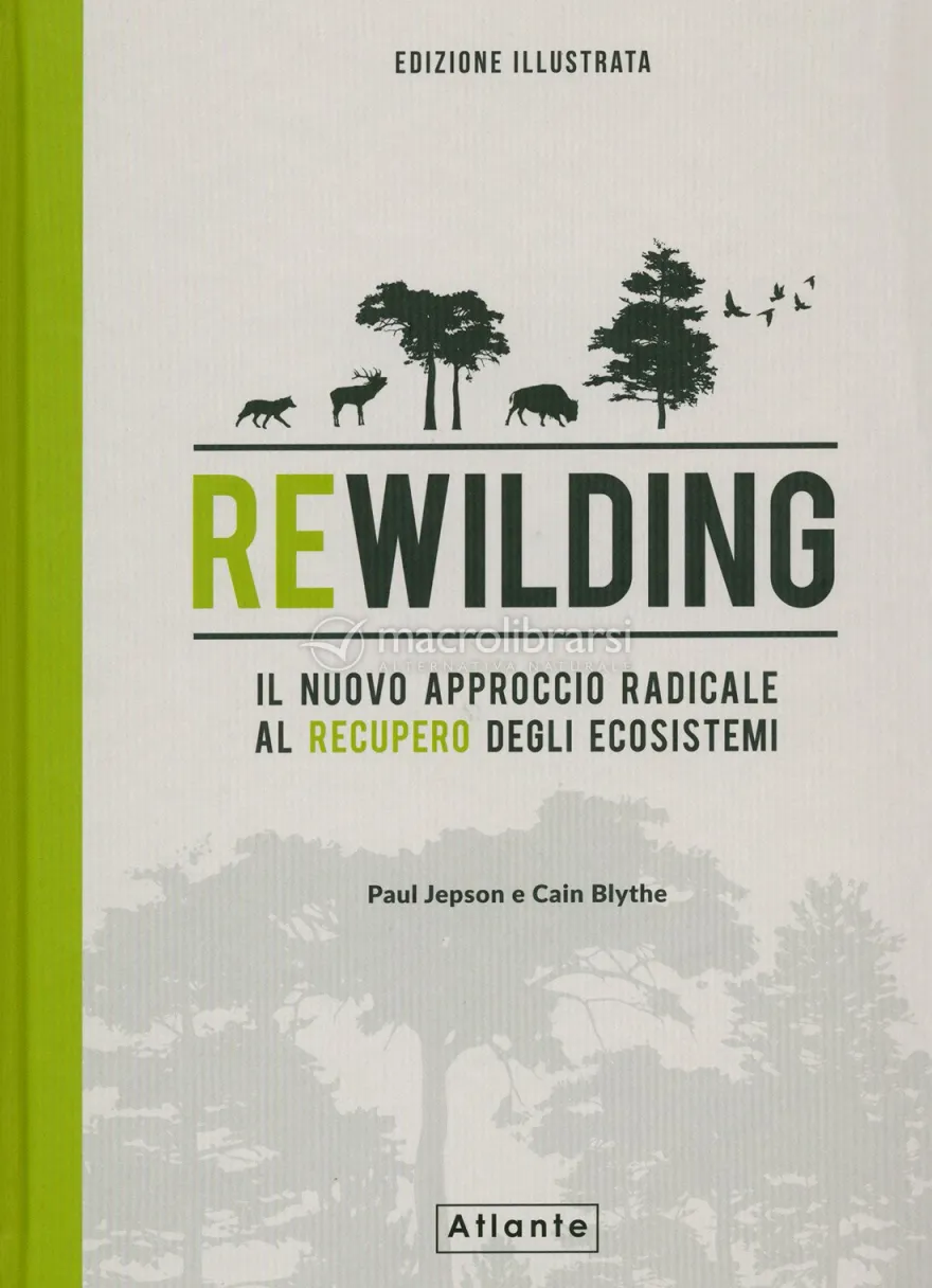 Rewilding, il Nuovo Approccio Radical al Recupero degli Ecosistemi