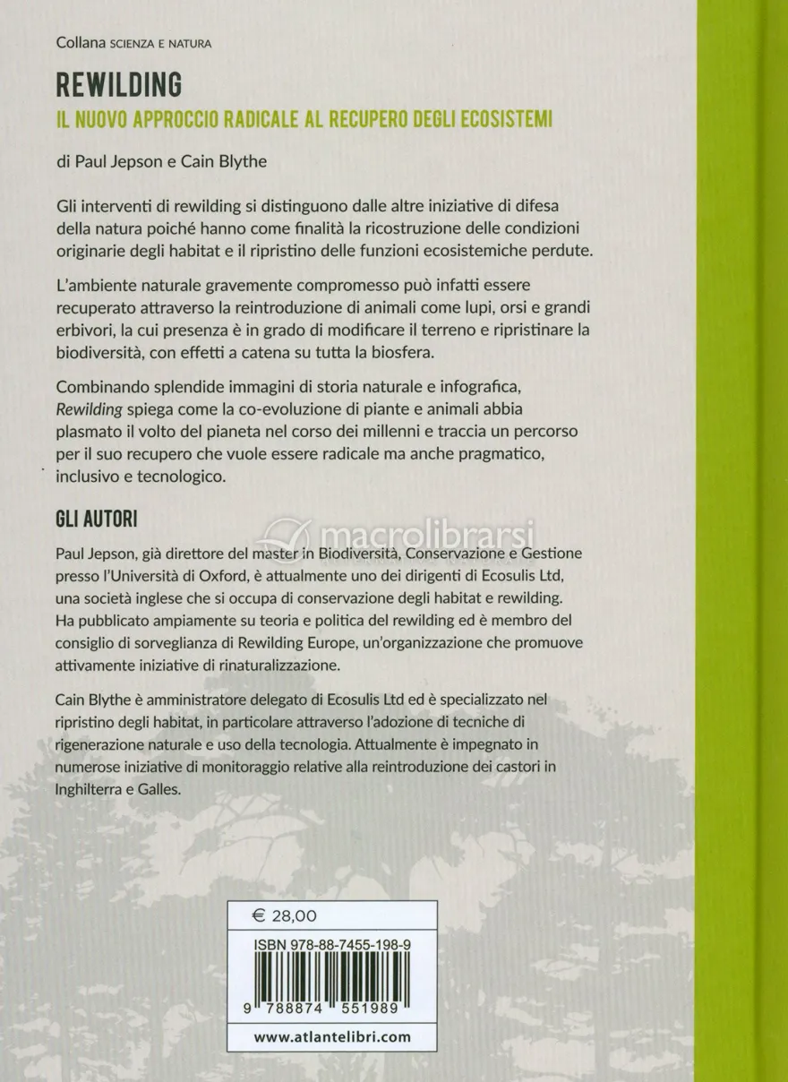 Rewilding, il Nuovo Approccio Radical al Recupero degli Ecosistemi