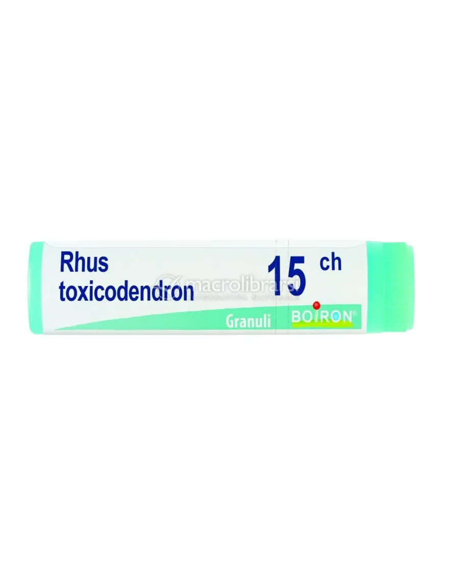 Rhus Toxicodendron 15CH Globuli Monodose Boiron