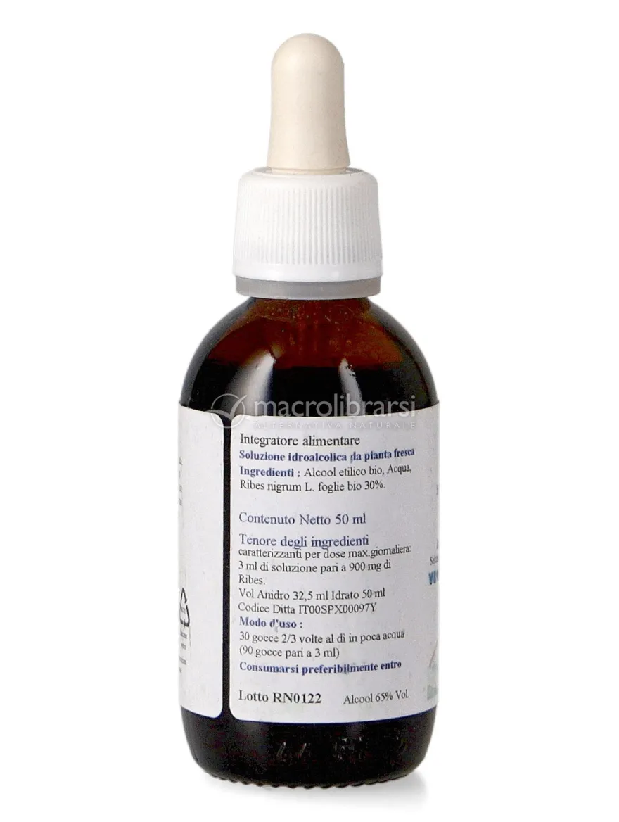 Ribes Nero Bio - Estratto Idroalcolico