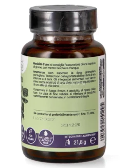 Ribes Nero Forte