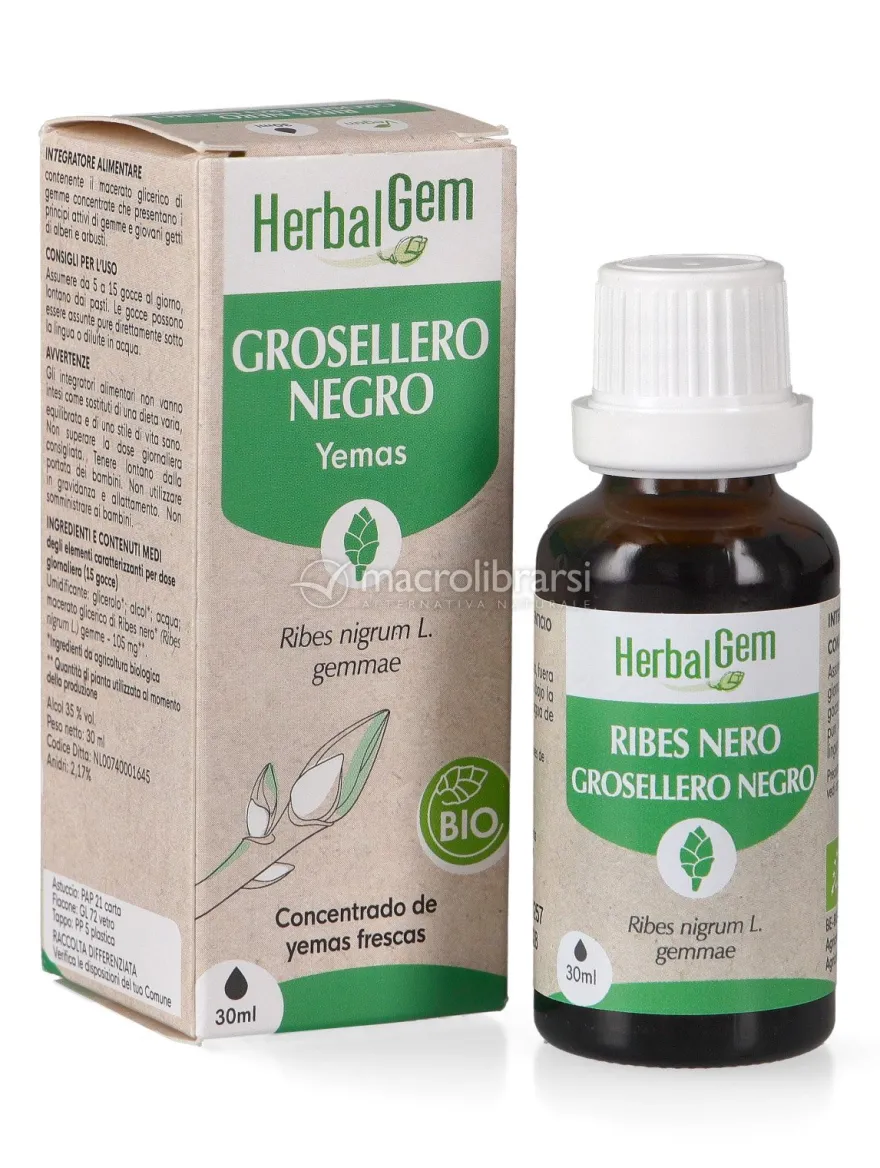 Ribes Nero Gemme