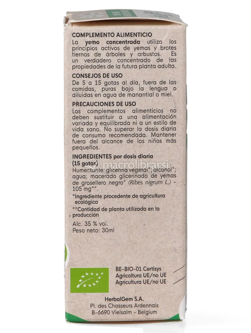 Ribes Nero Gemme