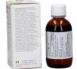 Ribes Nero - Gemmoderivato
