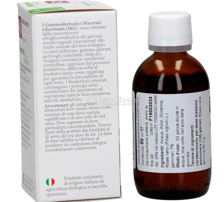 Ribes Nero - Gemmoderivato
