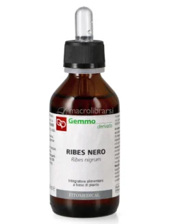 Ribes Nero - Ribes nigrum
