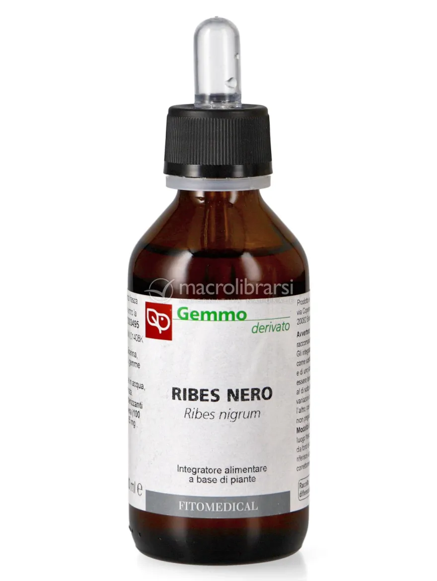 Ribes Nero - Ribes nigrum