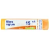 Ribes Nigrum 15CH Granuli Boiron