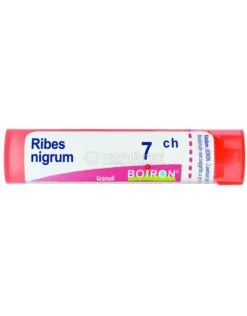 Ribes Nigrum 7CH Granuli Boiron