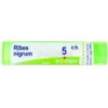 Ribes Nigrum 5CH Granuli Boiron