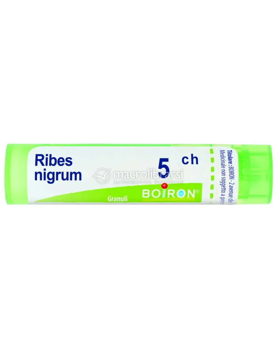 Ribes Nigrum 5CH Granuli Boiron