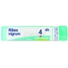 Ribes Nigrum 4DH Granuli Boiron