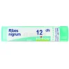 Ribes Nigrum 12DH Granuli Boiron