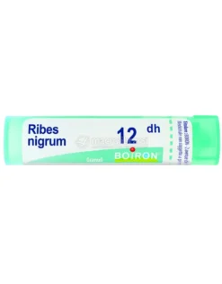 Ribes Nigrum 12DH Granuli Boiron