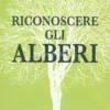 Riconoscere gli Alberi
