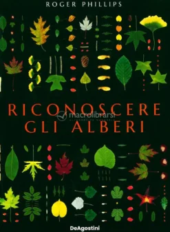 Riconoscere gli Alberi