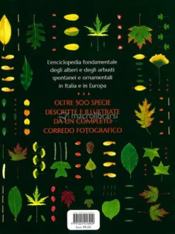 Riconoscere gli Alberi