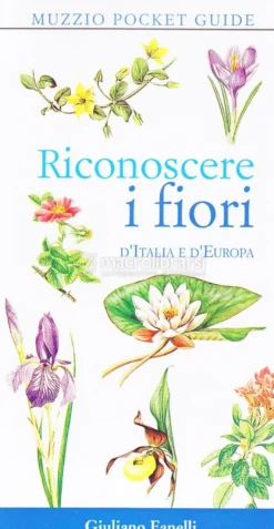 Riconoscere i Fiori d'Italia e d'Europa