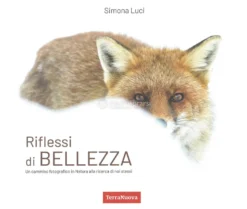 Riflessi di Bellezza