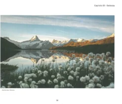 Riflessi di Bellezza