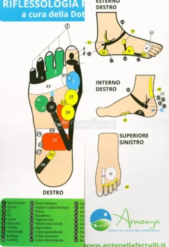 Riflessologia Plantare Energetica