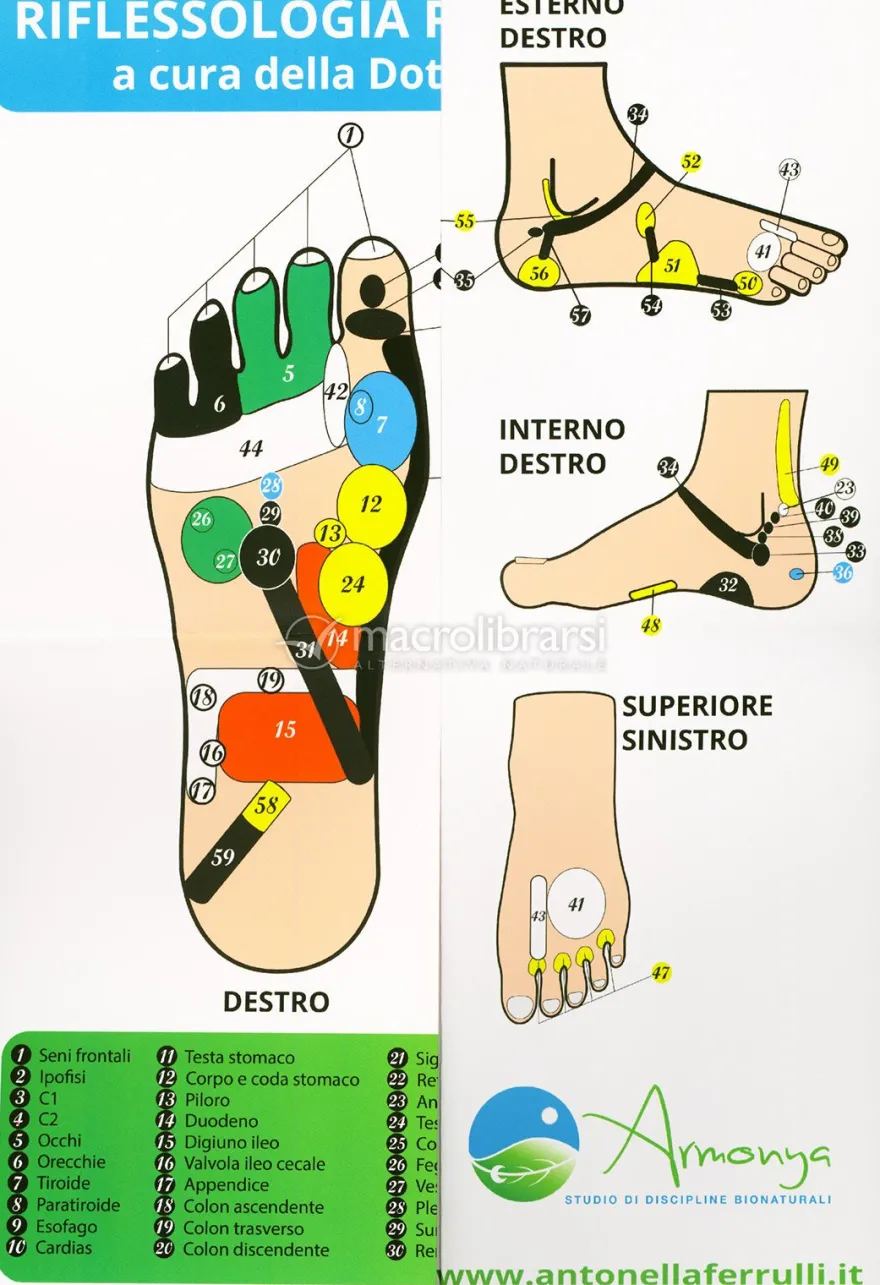 Riflessologia Plantare Energetica