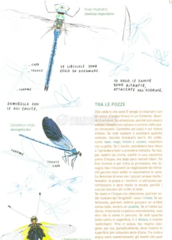 Rimanere sul Sentiero
