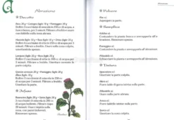 Rimedi Naturali - Il Libro Completo