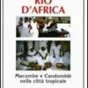 Rio D'africa