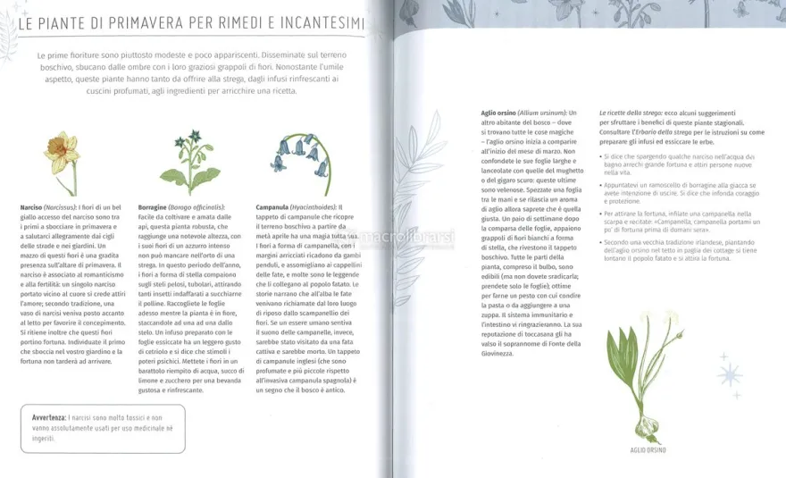 Riti e Folklore delle Streghe
