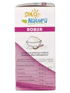 Robur