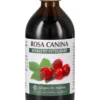 Rosa Canina