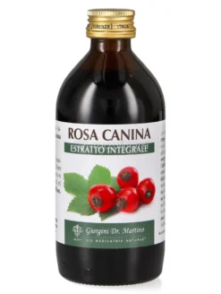 Rosa Canina