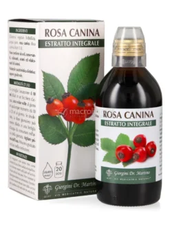 Rosa Canina