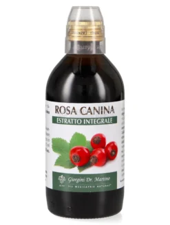 Rosa Canina