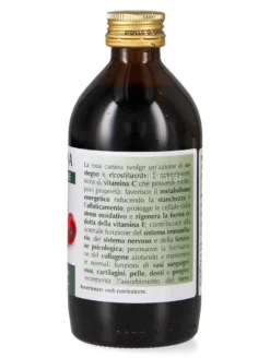 Rosa Canina
