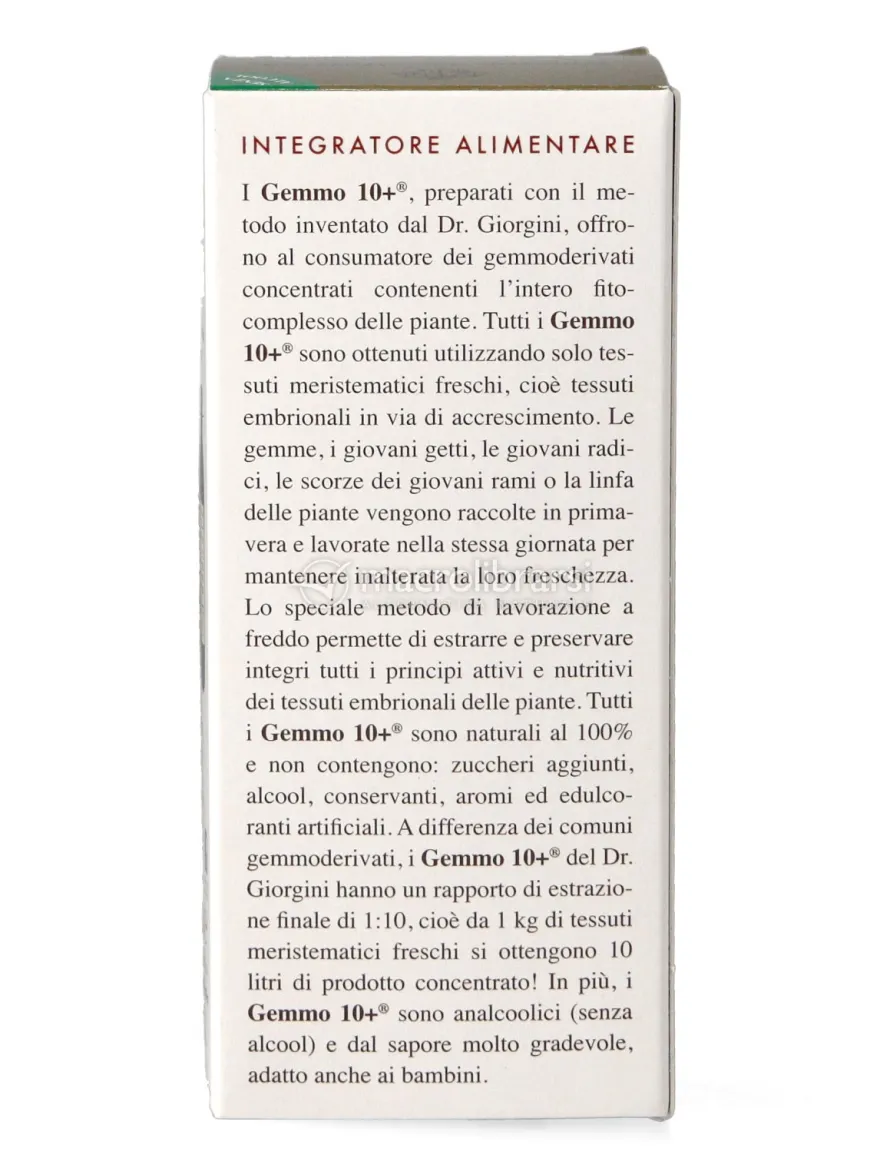 Rosa Canina Gemmoderivato Concentrato - Gemmo 10+ ®- 100 ml
