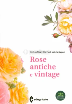 Rose Antiche e Vintage