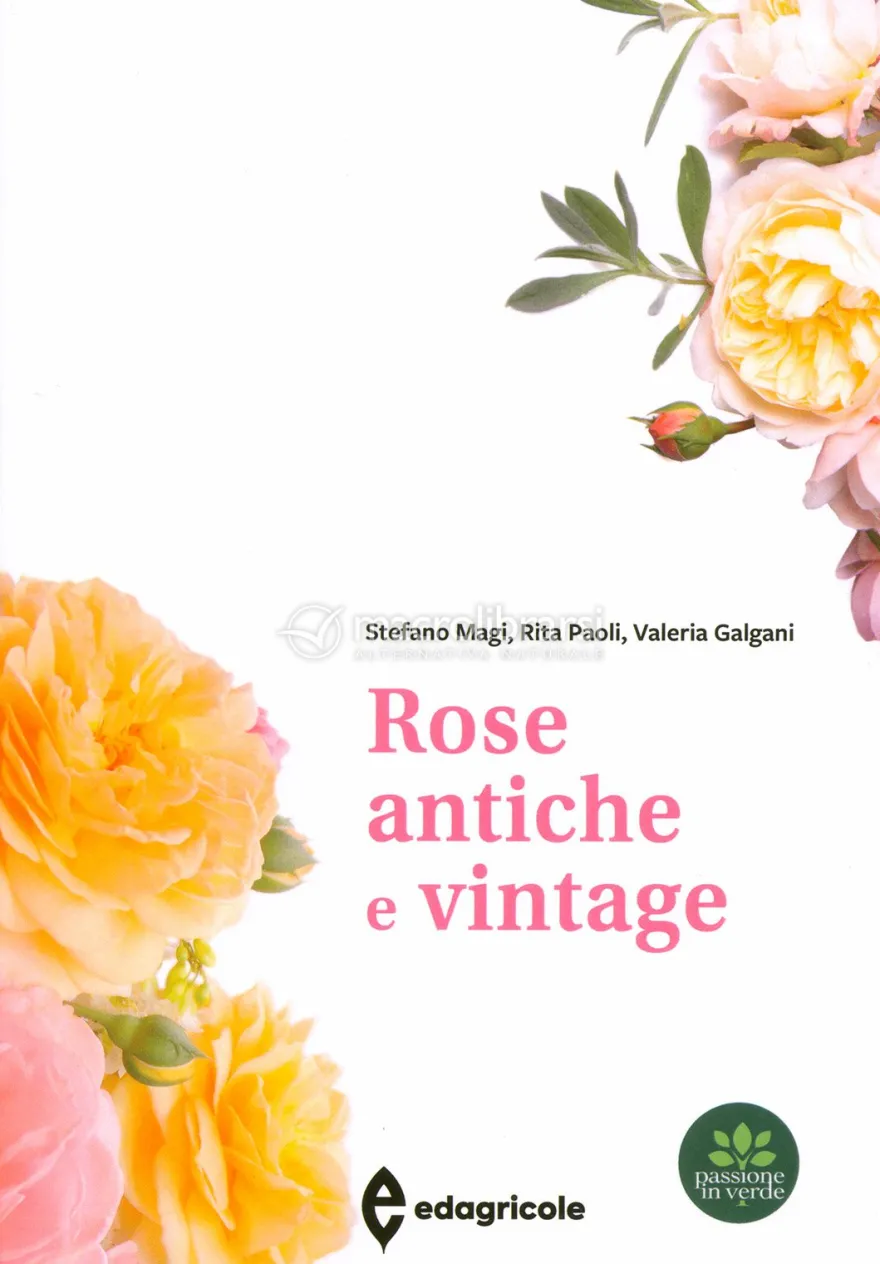Rose Antiche e Vintage