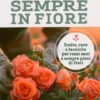 Rose Sempre in Fiore