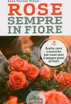 Rose Sempre in Fiore