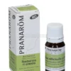 Rosmarino Ct Cineolo - Olio Essenziale Bio