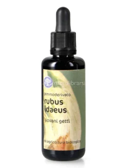 Rubus Idaeus - Gemmoderivato Floripotenziato