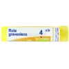 Ruta Graveolens 4CH Granuli Boiron