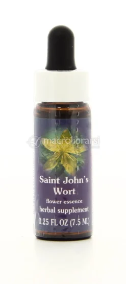 Saint John's Wort - Fiori californiani