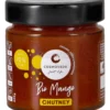 Salsa Agrodolce - Chutney Mango