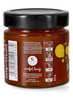 Salsa Agrodolce - Chutney Mango