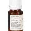 Salvia Spagnola Bio - Olio Essenziale Puro