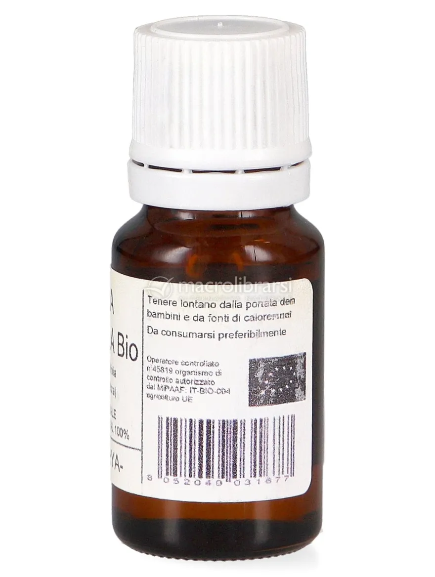 Salvia Spagnola Bio - Olio Essenziale Puro