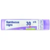 Sambucus Nigra 30CH Granuli Boiron